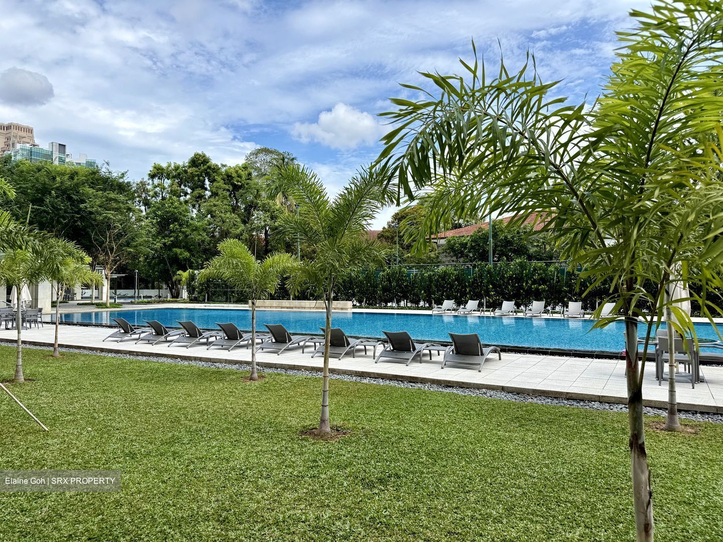 Grange Residences (D10), Condominium #570470621